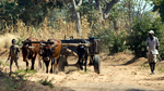 Erfolge und Herausforderungen in Angola