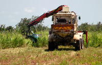 Malanje mine clearance