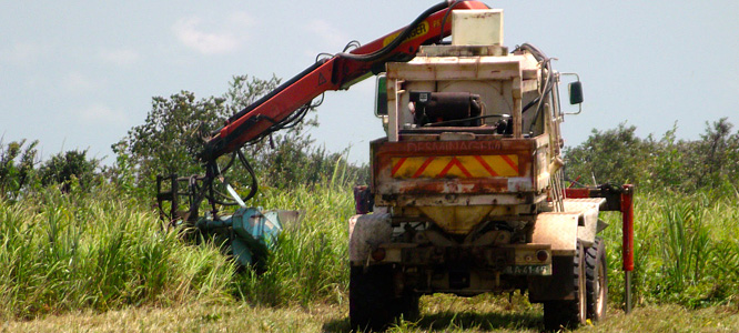 This is MgM’s bush cutting machine, the “Mulcher”.